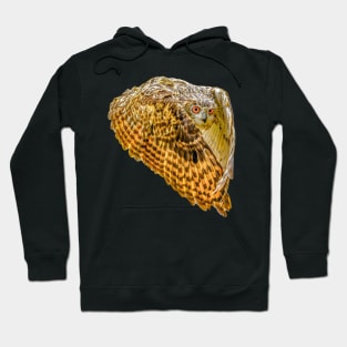 Eagle Owl Hoodie